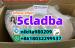 mediacongo
